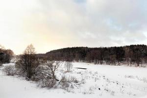 sneeuw en ijs bedekt gras foto