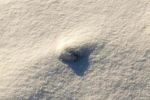 land bedekt met sneeuw close-up foto