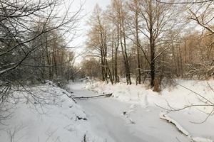 bevroren in de winter de rivier foto