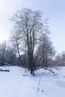 bevroren in de winter de rivier foto