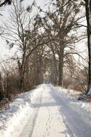 sneeuwval in het winterseizoen en de weg is niet geasfalteerd foto