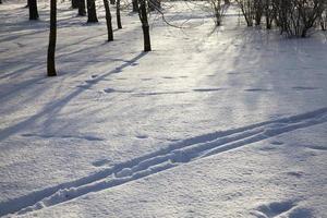 winter koud weer na de sneeuwval foto