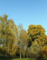 rustige herfst natuur foto