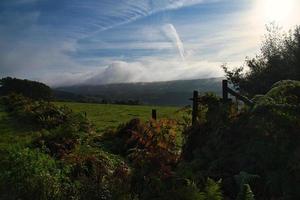 varen die zich uitstrekt over een weiland. op de achtergrond bossen uit het Saarland foto