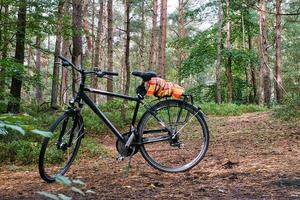 fietstocht door het bos op de darss. pauze en geparkeerde fiets. foto