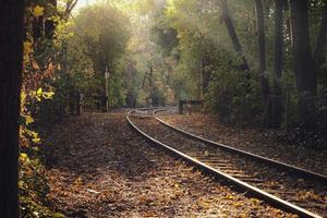 spoorlijn door een bos in herfststemming en lichtinval foto