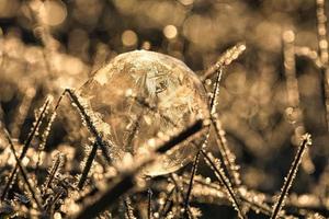 zeepbel waarop zich door de vorst ijskristallen hebben gevormd. in het licht van de ondergaande zon. foto