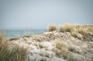 hoge duin op de darss. uitzichtpunt in het nationale park. strand, Oostzee, lucht en zee. foto