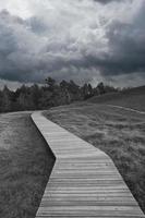 wandelpad in zwart-wit, over een houten loopbrug naar de hoge duin op de darss. foto