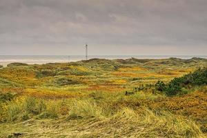 aan de kust van blavand denemarken. uitzicht over de duinen. in de herfst alles foto