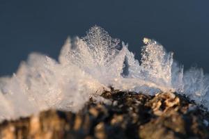 ijskristallen die zich op een boomstam hebben gevormd en in hoogte zijn gegroeid. foto