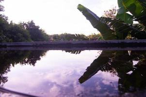 uitzicht op de bomen vanaf de top van het huis foto