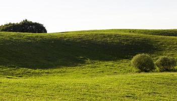 natuurlijk groen gras foto