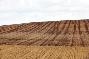 bruine grond, veld foto