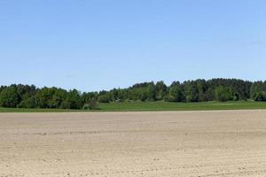 landschap veld en bos foto