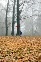 herfst parkand jongen foto