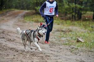 canicross honden mushing race foto