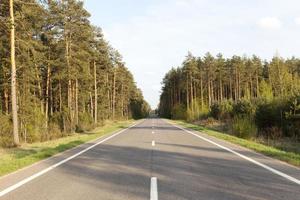 weg in het bos foto