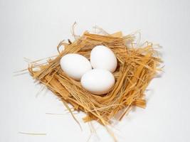 een kippenei ligt in het stro. drie eieren foto