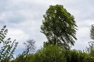 2022 05 08n selvaditrissino angsten in de wind foto