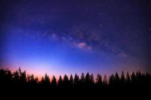 prachtige melkweg en silhouet van dennenboom op een nachtelijke hemel voor zonsopgang foto