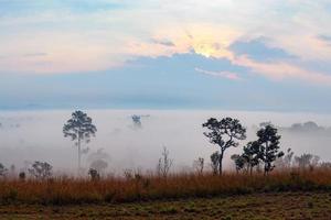 mistige ochtendzonsopgang bij thung salang luang nationaal park phetchabun, thailand foto