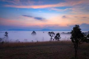 mistige ochtendzonsopgang bij thung salang luang nationaal park phetchabun, thailand foto