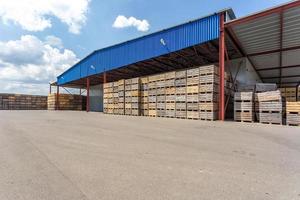 rijen houten kisten dozen en pallets voor groenten en fruit in opslagvoorraad. productie magazijn. plantenindustrie foto