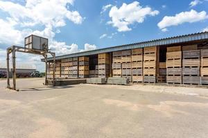 rijen houten kisten dozen en pallets voor groenten en fruit in opslagvoorraad. productie magazijn. plantenindustrie foto