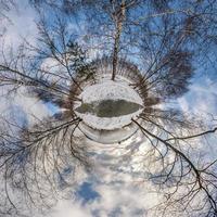 winter kleine planeet transformatie van bolvormig panorama 360 graden. bolvormige abstracte luchtfoto in bos met onhandige takken. kromming van de ruimte. foto