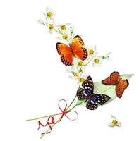 tak van bloemen en vlinders geïsoleerd op een witte achtergrond foto