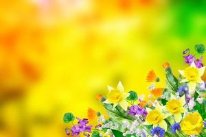 heldere en kleurrijke bloemen foto