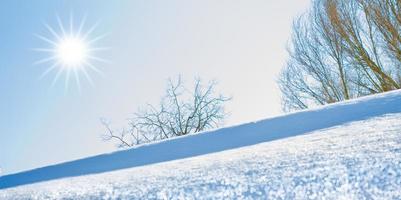 bevroren winterbos met besneeuwde bomen. foto