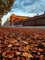 herfstkleuren in de stad Straatsburg. geel, rood, oranje foto