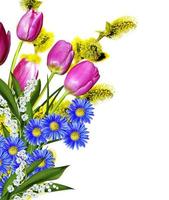 tulpen bloemen geïsoleerd op witte achtergrond foto