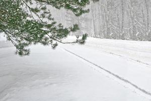 bevroren winterbos met besneeuwde bomen. foto