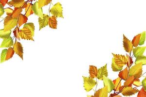 abstracte achtergrond van herfstbladeren foto