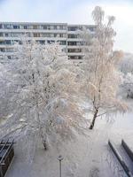 leherheide bremerhaven duitsland 2010 besneeuwde winter sneeuw en ijs landschap panorama uitzicht bremerhaven duitsland. foto