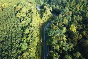 luchtfoto van groene zomerboom en bos met een weg foto