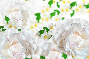 lentebloemen pioenrozen en jasmijn foto