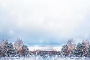 bevroren winterbos met besneeuwde bomen. foto