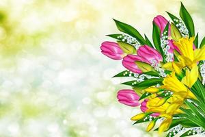 heldere en kleurrijke lentebloemen narcissen en tulpen foto