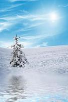 sneeuwval. winter bos. natuur. foto