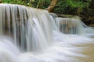 waterval in diepe regenwoud jungle in nationaal park, foto