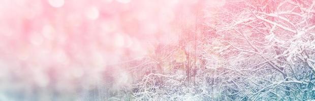 bevroren winterbos met besneeuwde bomen. foto