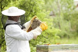 apiarist die met bijen werkt foto