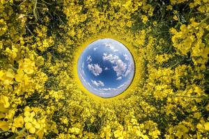 inversie van kleine planeet transformatie van bolvormig panorama 360 graden. sferische abstracte luchtfoto in koolzaadveld met geweldige mooie wolken. kromming van de ruimte. foto