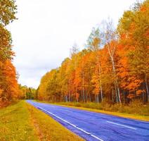 herfstlandschap met helder kleurrijk gebladerte. nazomer. foto