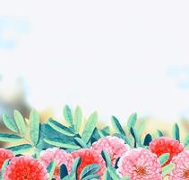 heldere en kleurrijke bloemen zinnias. bloemen achtergrond. foto