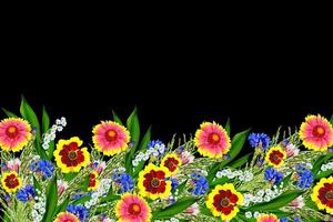 boeket van kleurrijke bloemen van gaillardia. delicate bloemen geïsoleerd op zwarte achtergrond foto